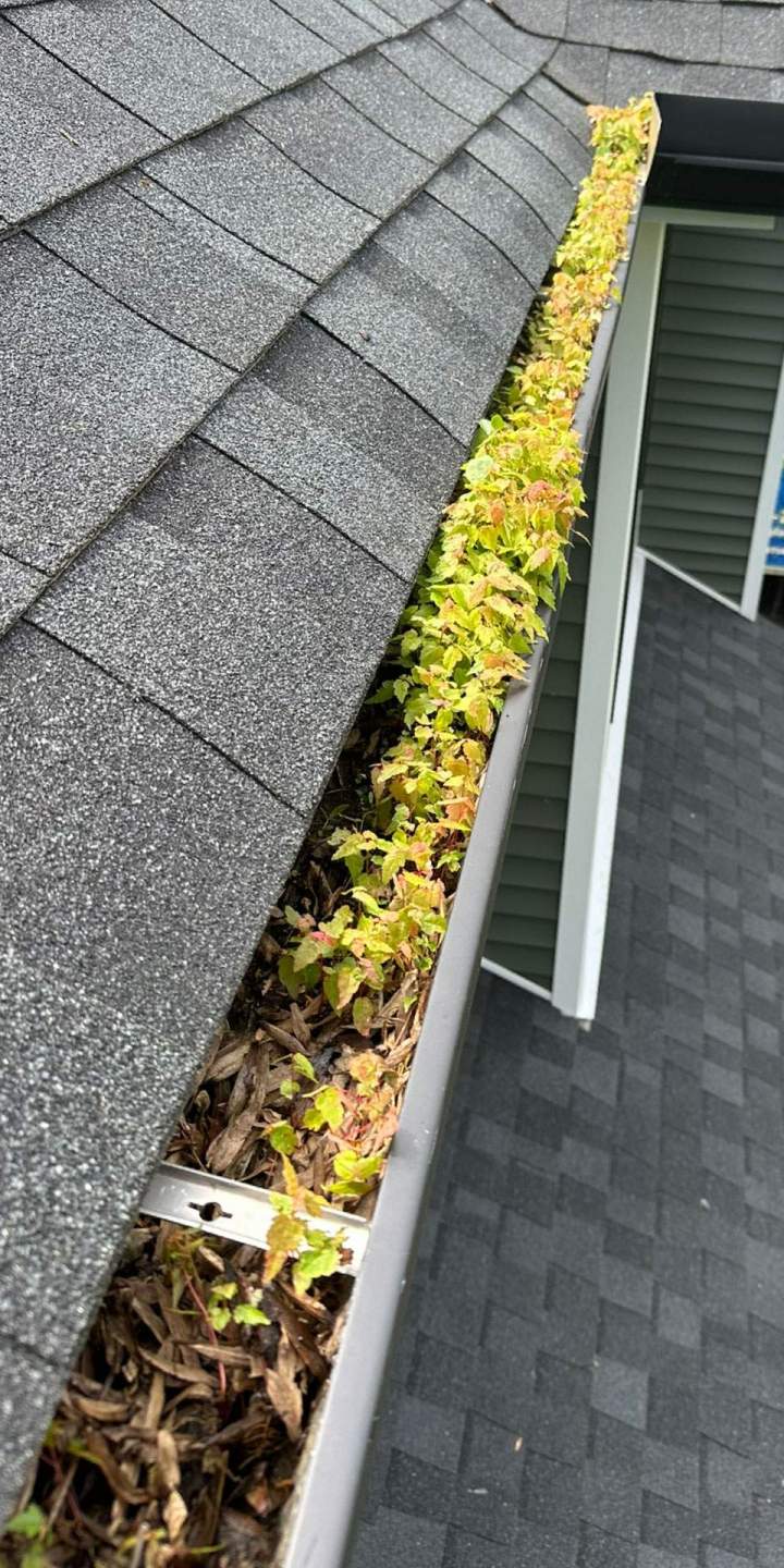 gutter before